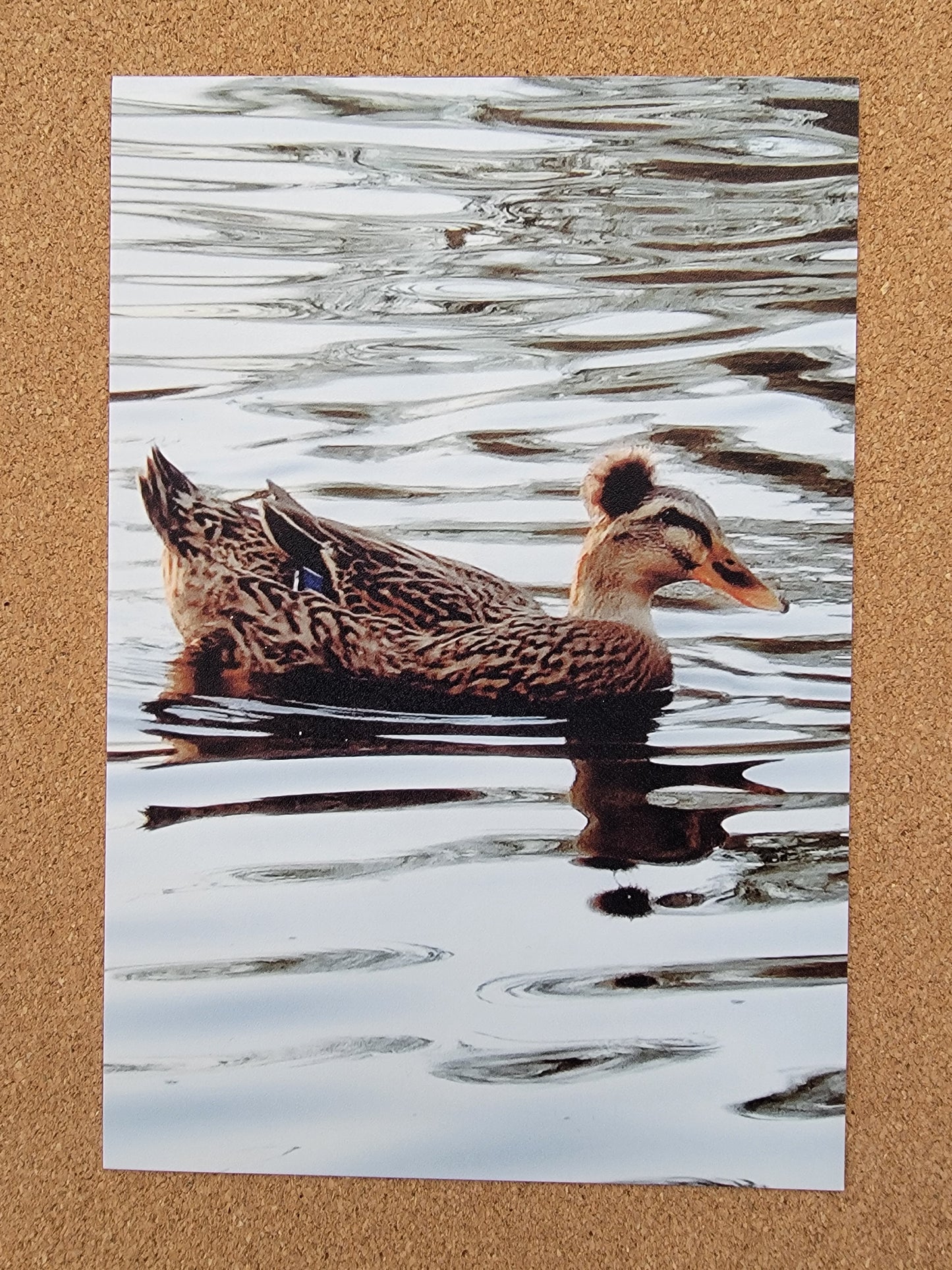 Fluffy Crowned Duck (Set of 2)