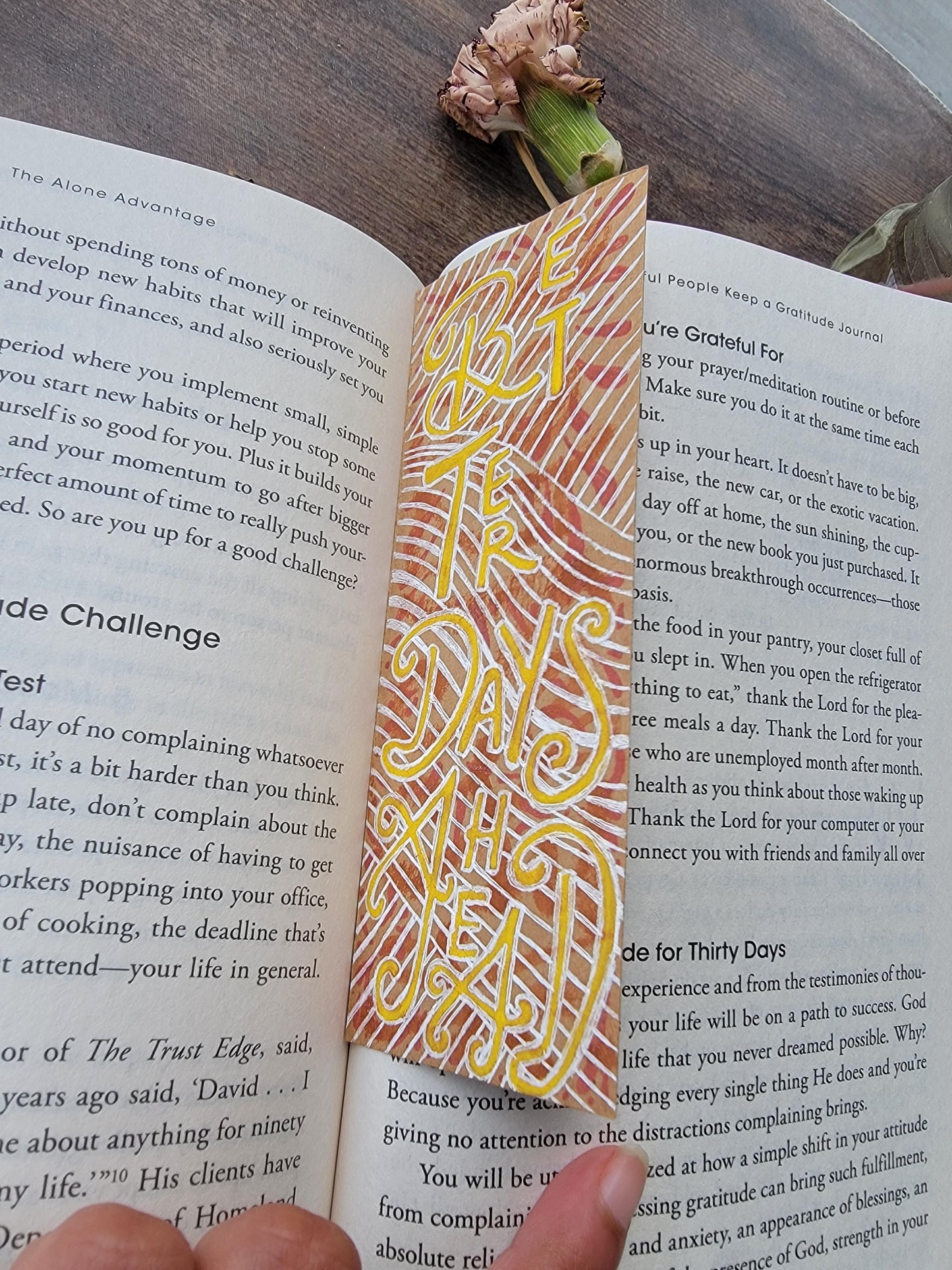 Bookmark: Better Days Ahead