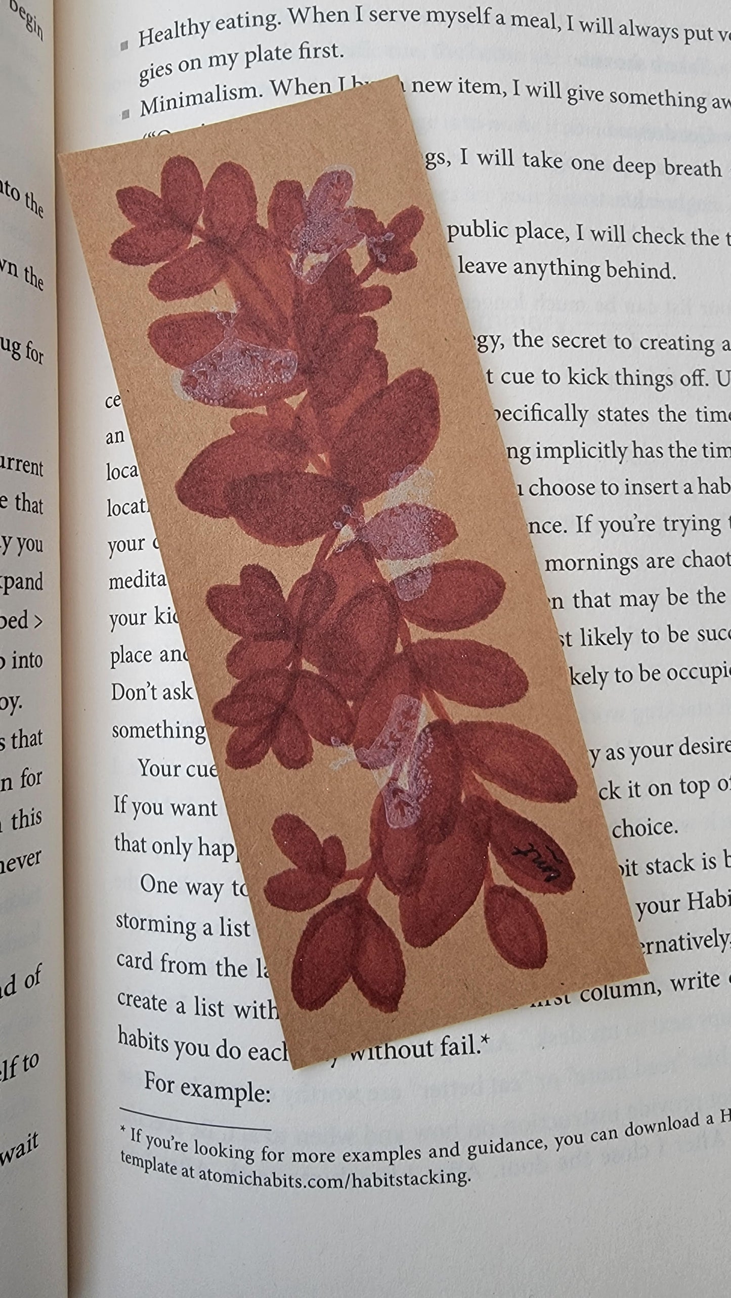 Bookmark: Moths Hiding